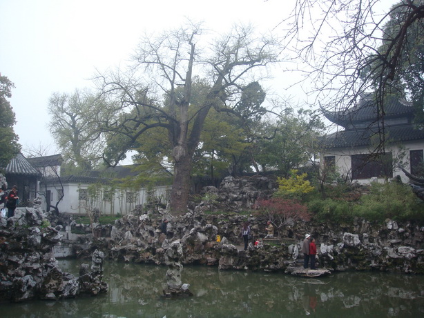 DSC04569.JPG