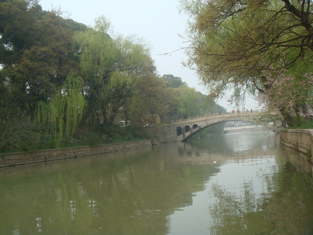DSC04896.JPG
