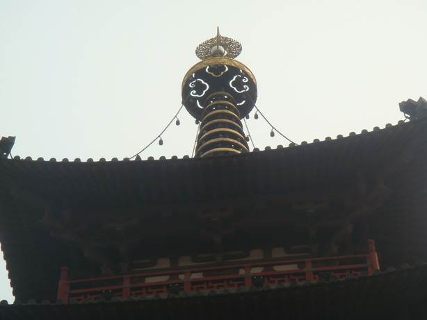 DSC05004.JPG
