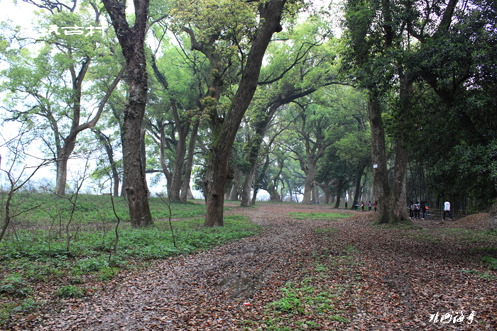 PP_0015.jpg