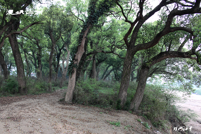 PP_0139.jpg