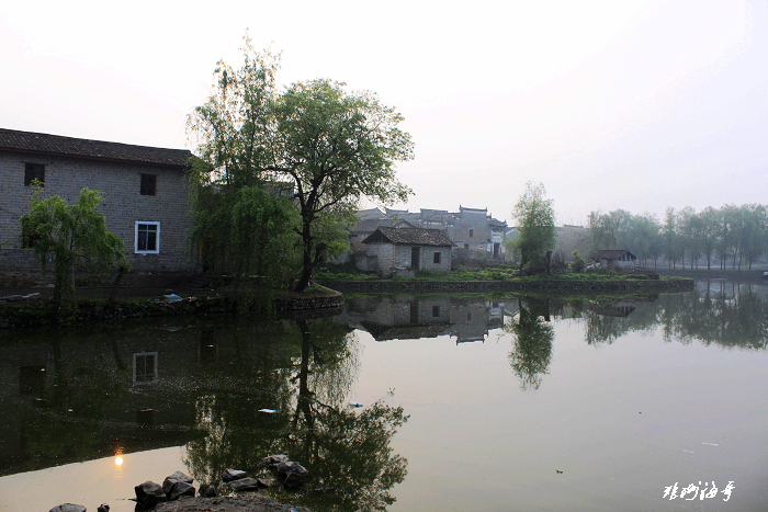 _MG_1426.jpg