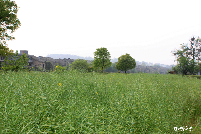 PP_0086.jpg