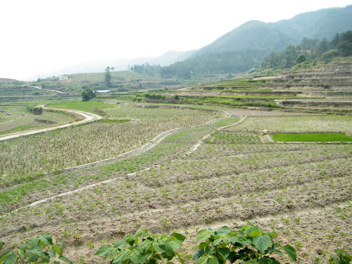 DSCF0318.JPG