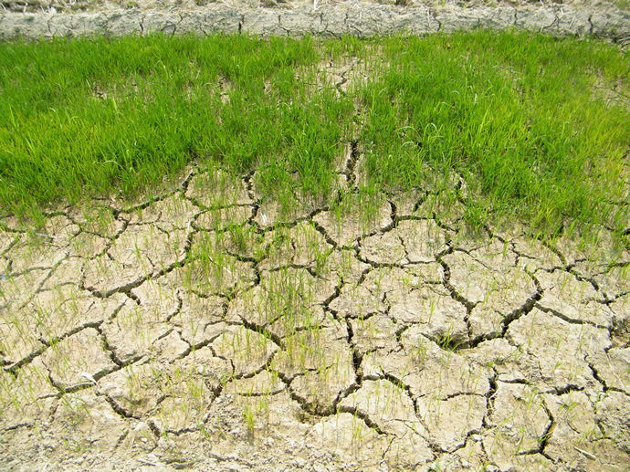 DSCF0298.JPG