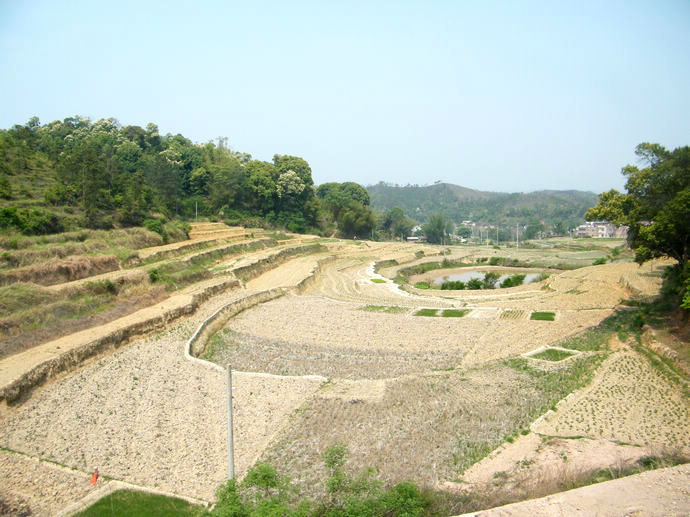 DSCF0319.JPG