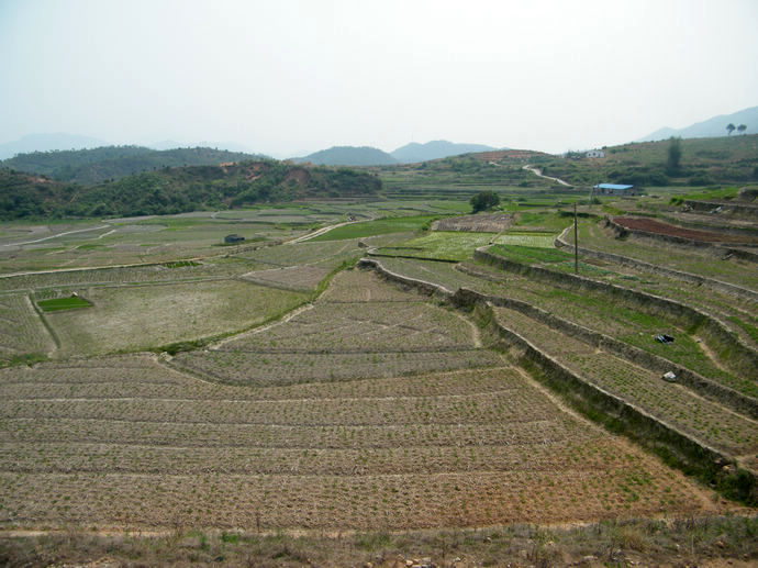 DSCF0320.JPG