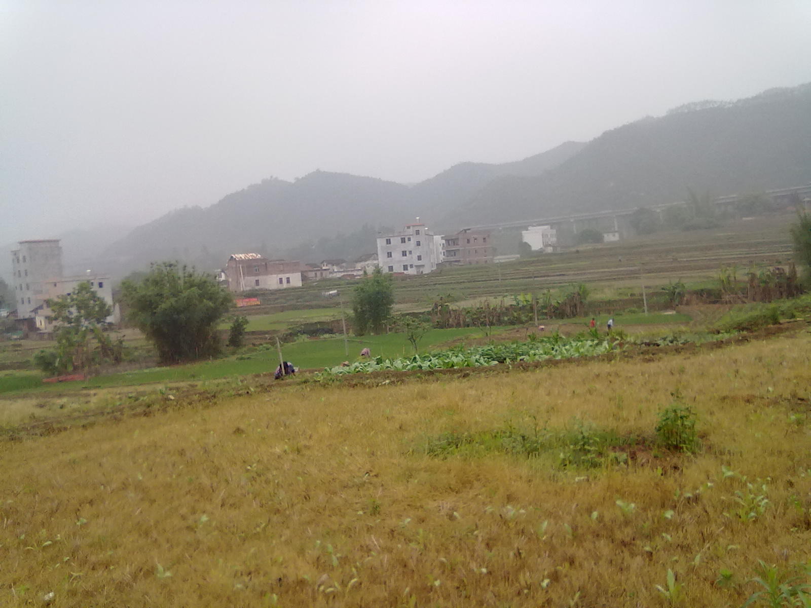 20110430161.jpg