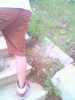 IMG0613A.jpg