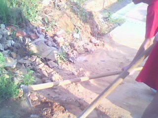 IMG0606A.jpg