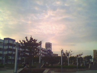 IMG0621A.jpg
