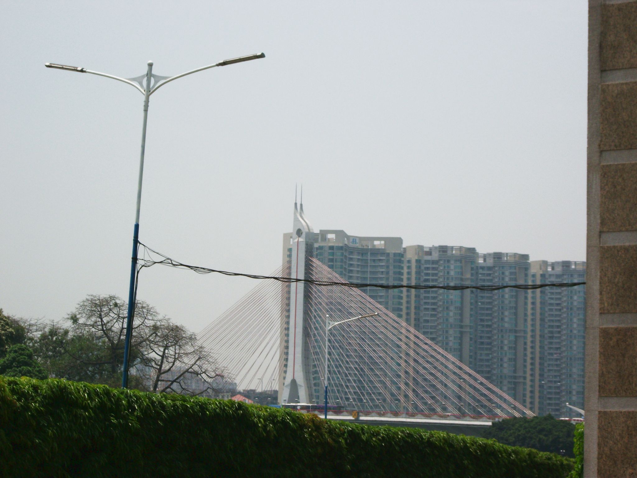 DSCF0539.jpg