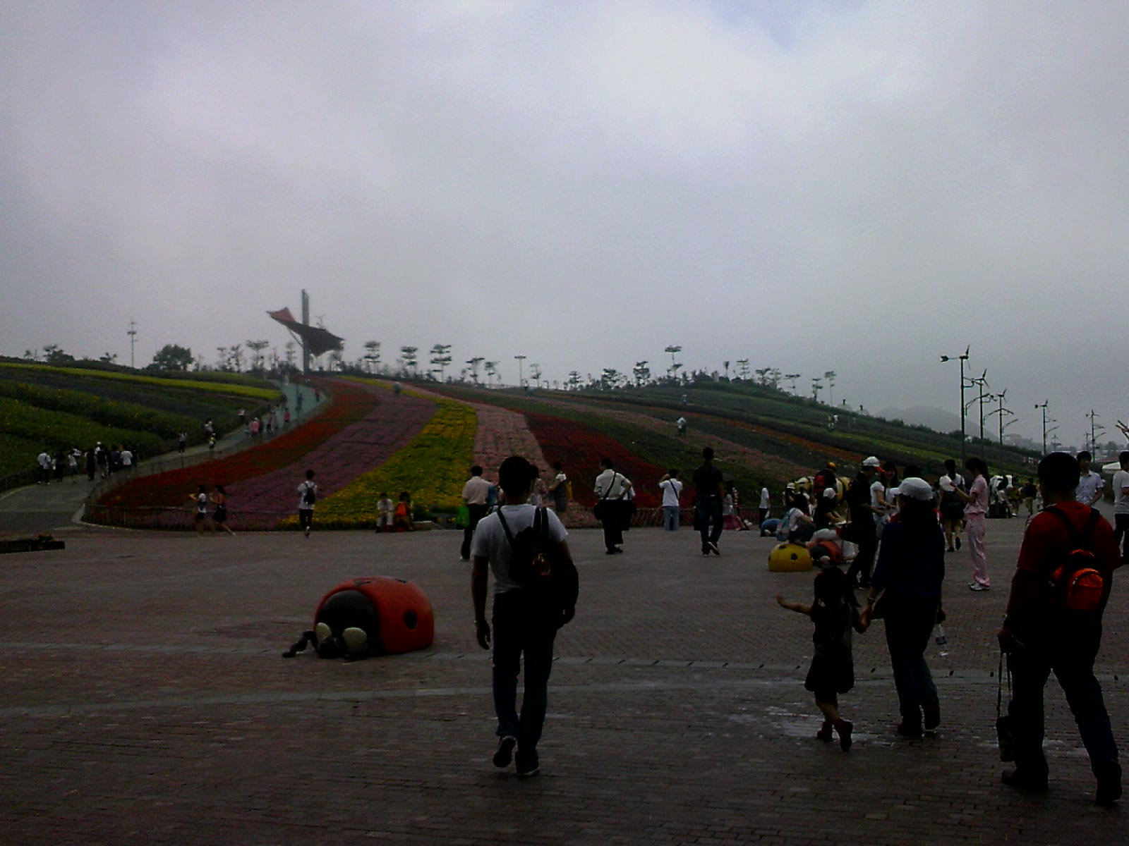 110514A019.jpg