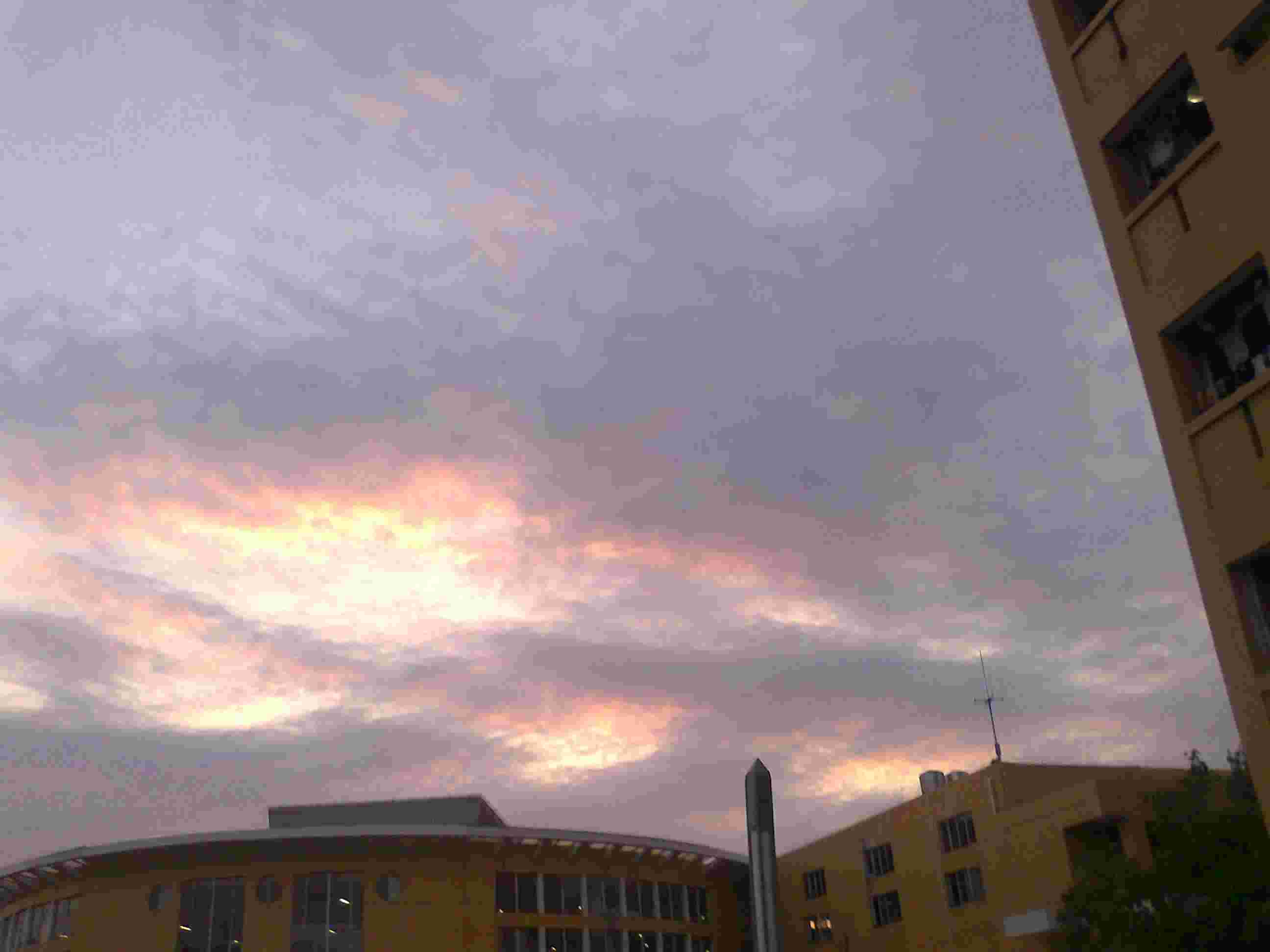Ƭ0591.jpg