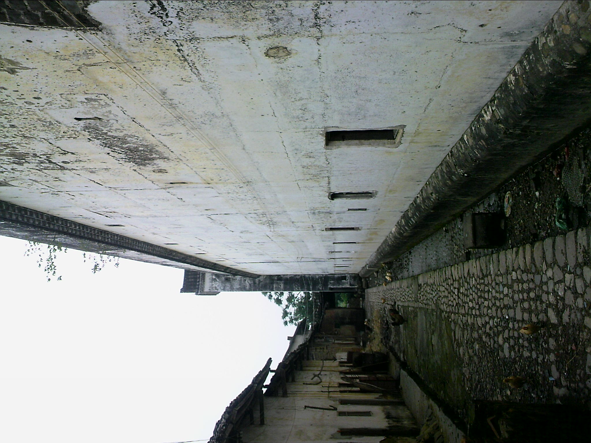 110603A005.jpg