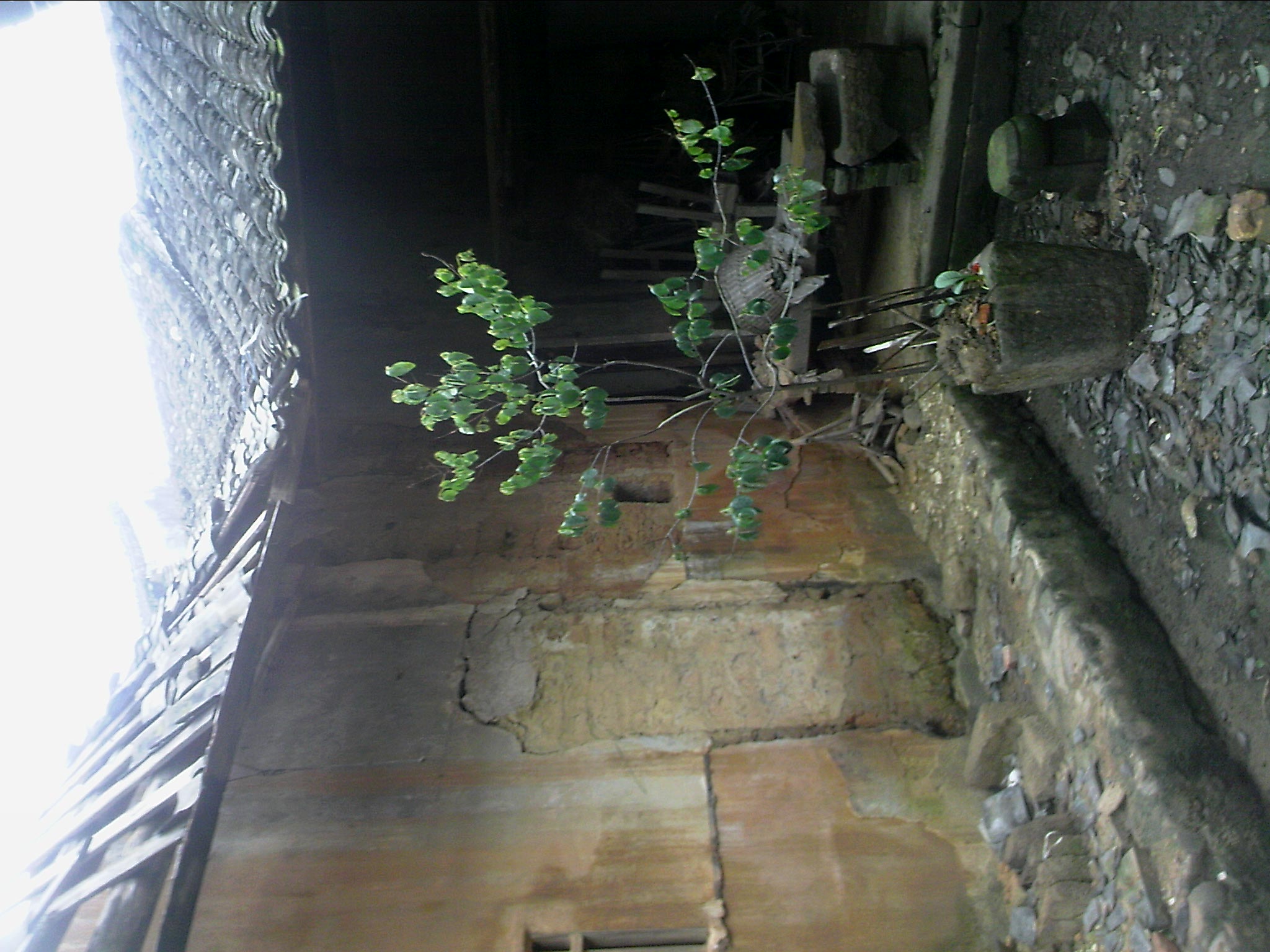 110603A013.jpg