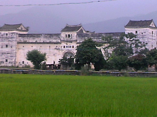110603A062.jpg
