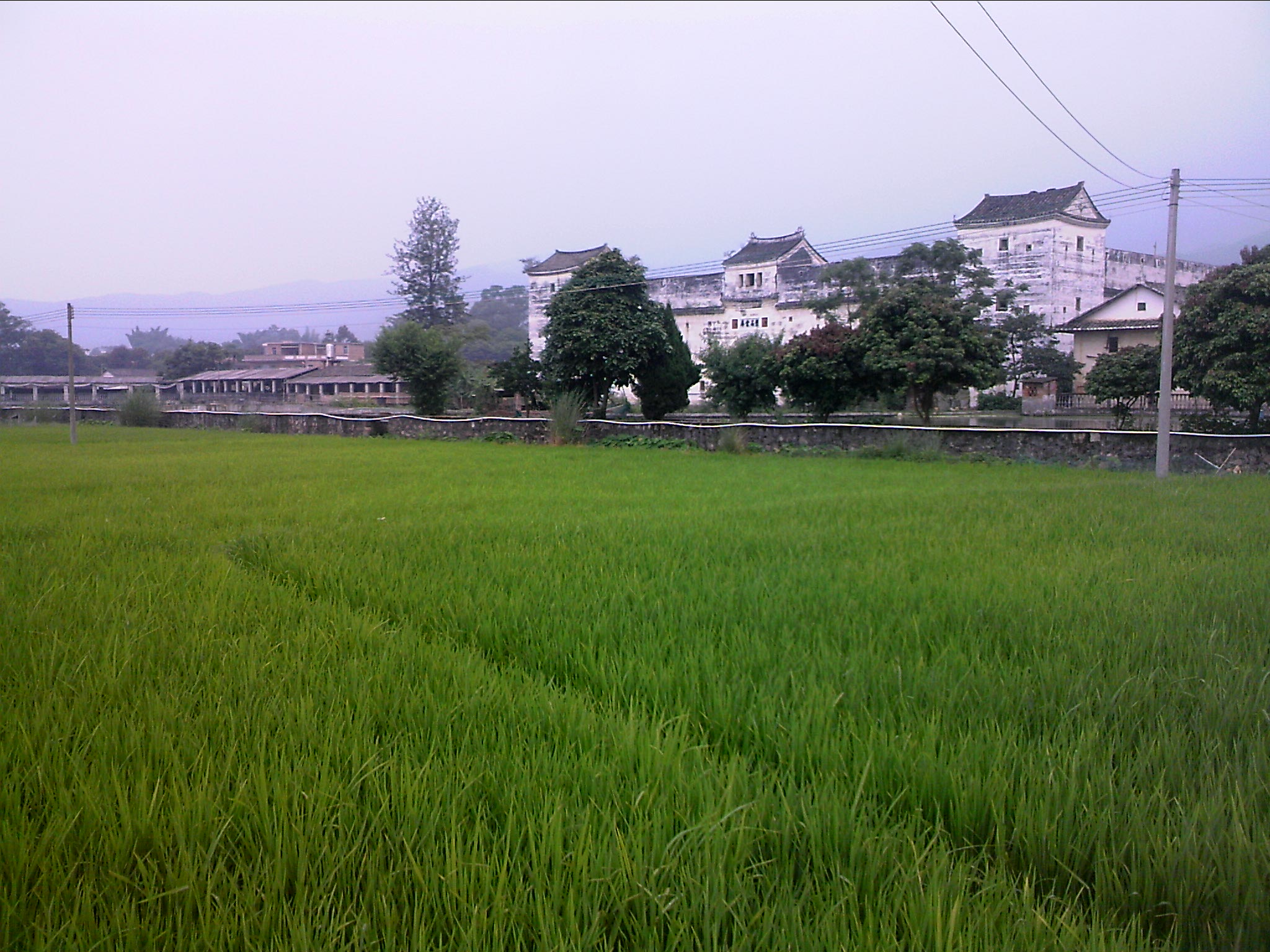 110603A056.jpg