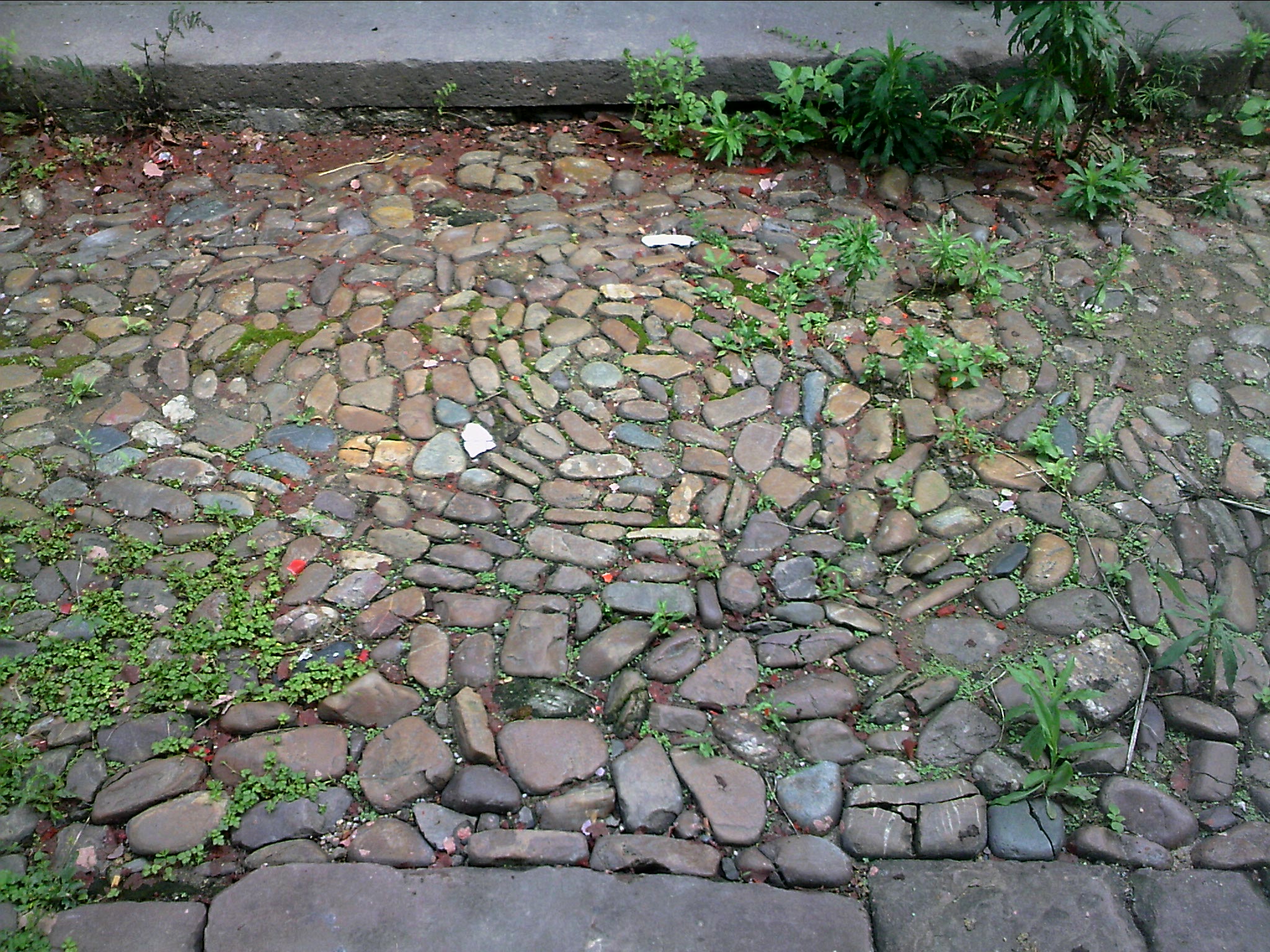 110603A082.jpg