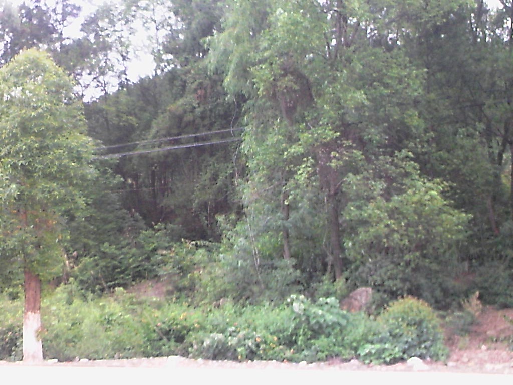 110603A090.jpg