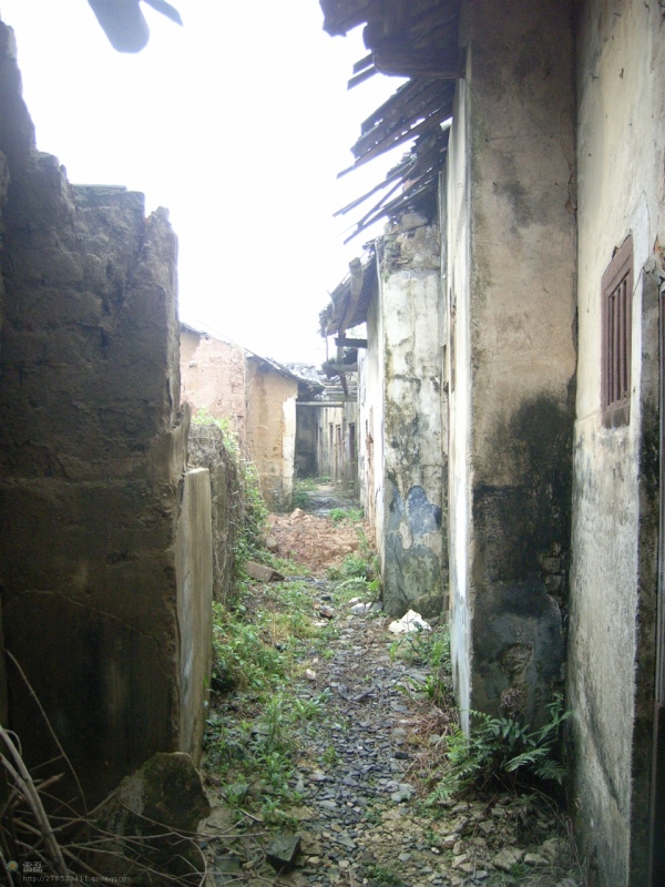 http_imgloadCA25073V.jpg
