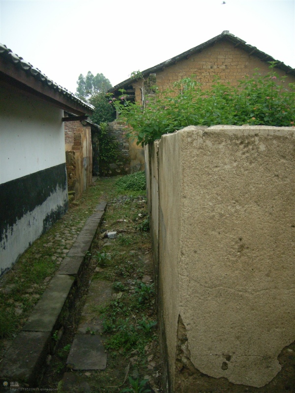 http_imgloadCAEMB6NX.jpg