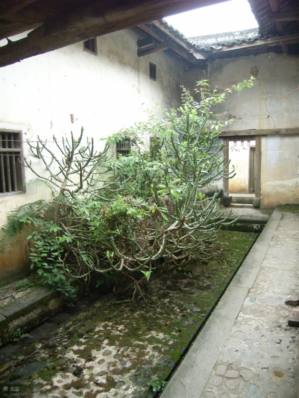 http_imgloadCA02BOKY.jpg