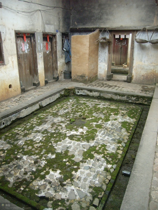 http_imgloadCA088DZ5.jpg