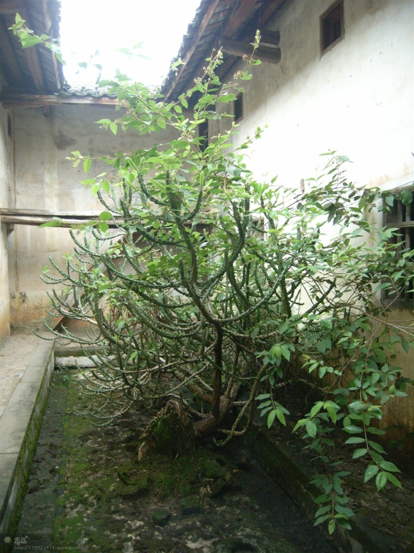 http_imgloadCAIVWM70.jpg