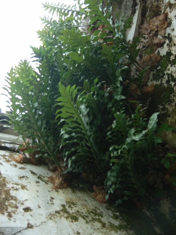 http_imgloadCALN3A34.jpg