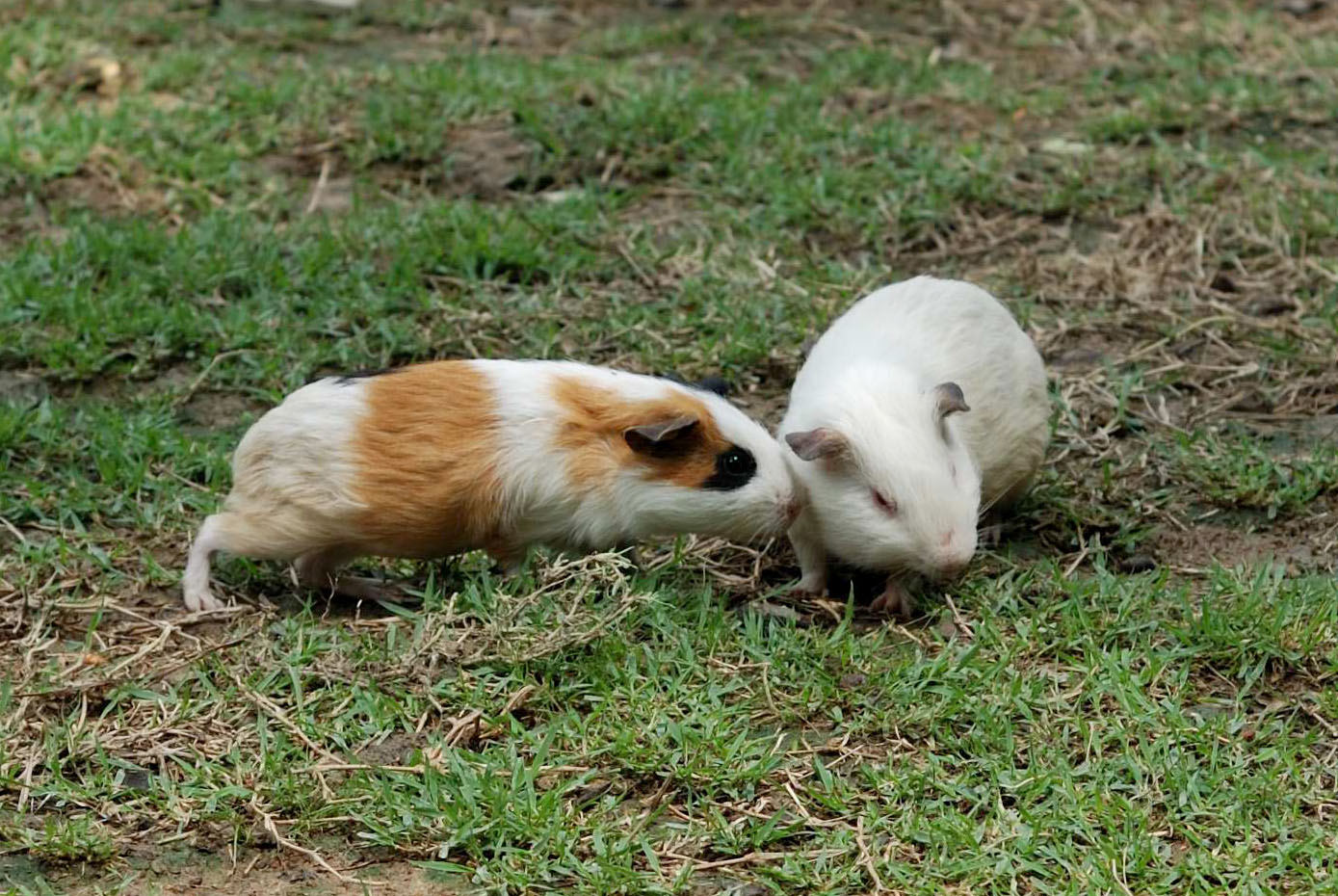 DSC_2943.jpg