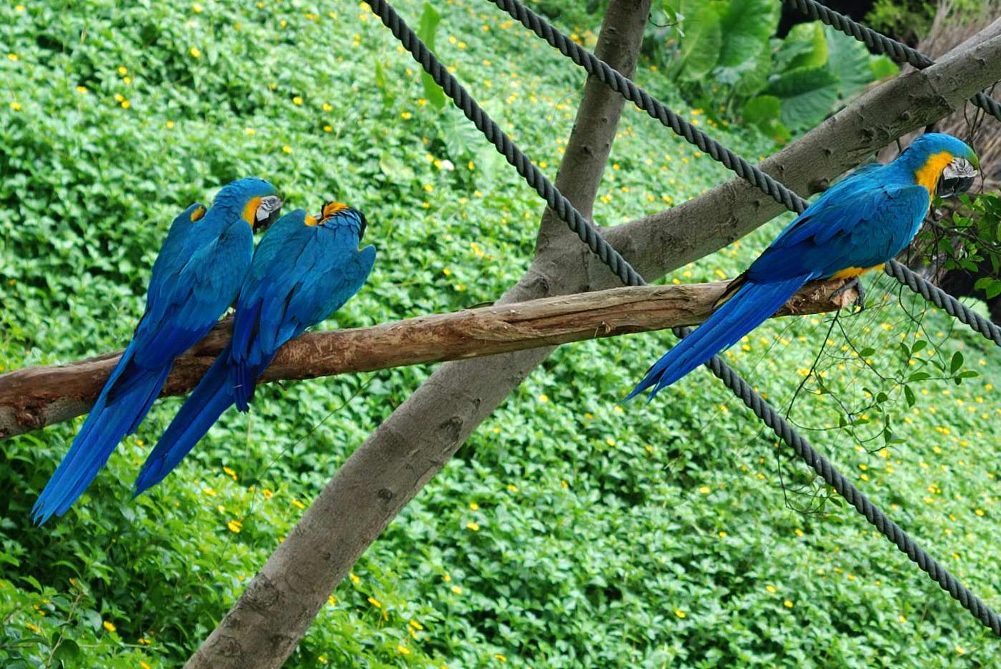 DSC_2974.jpg