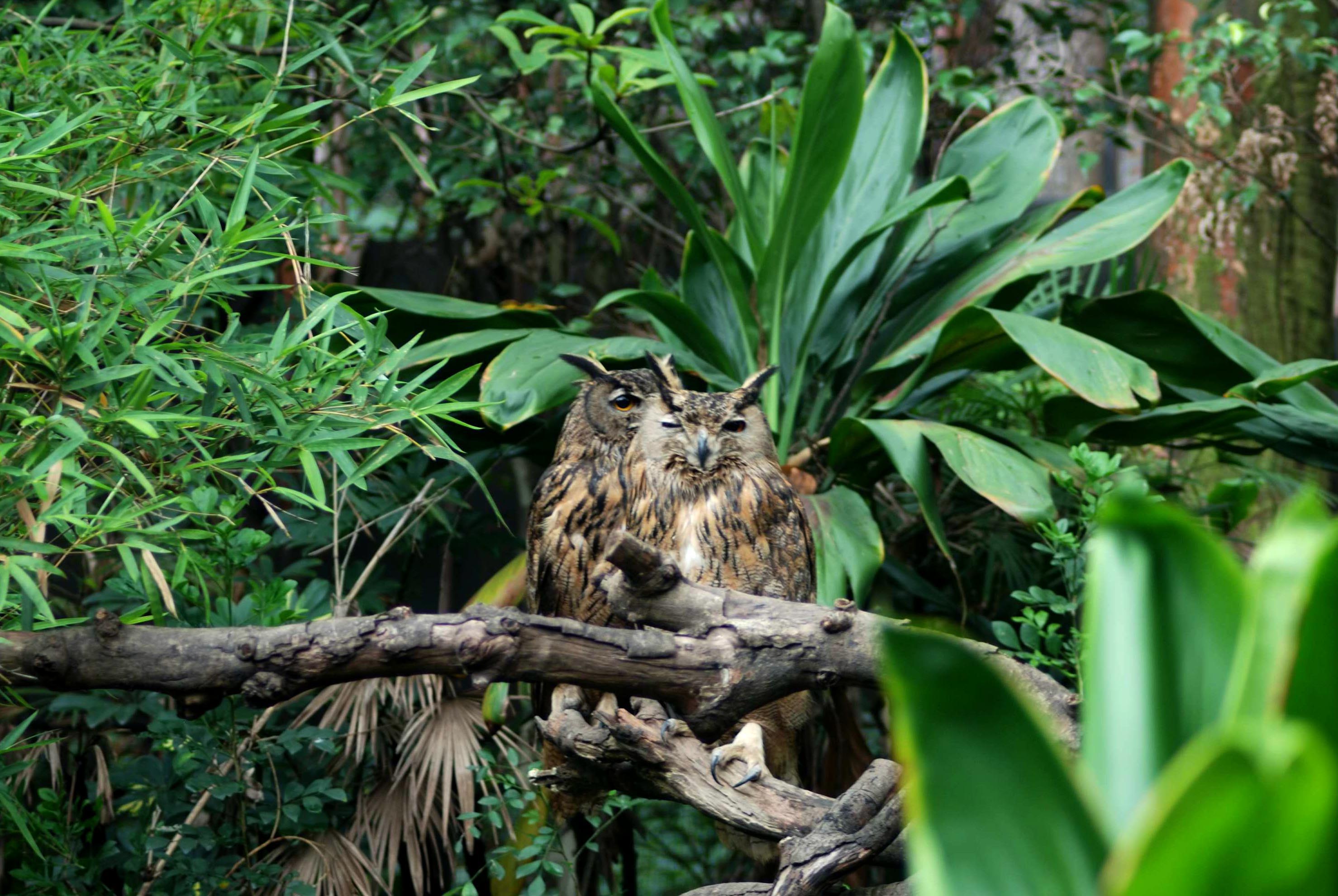 DSC_2825.jpg