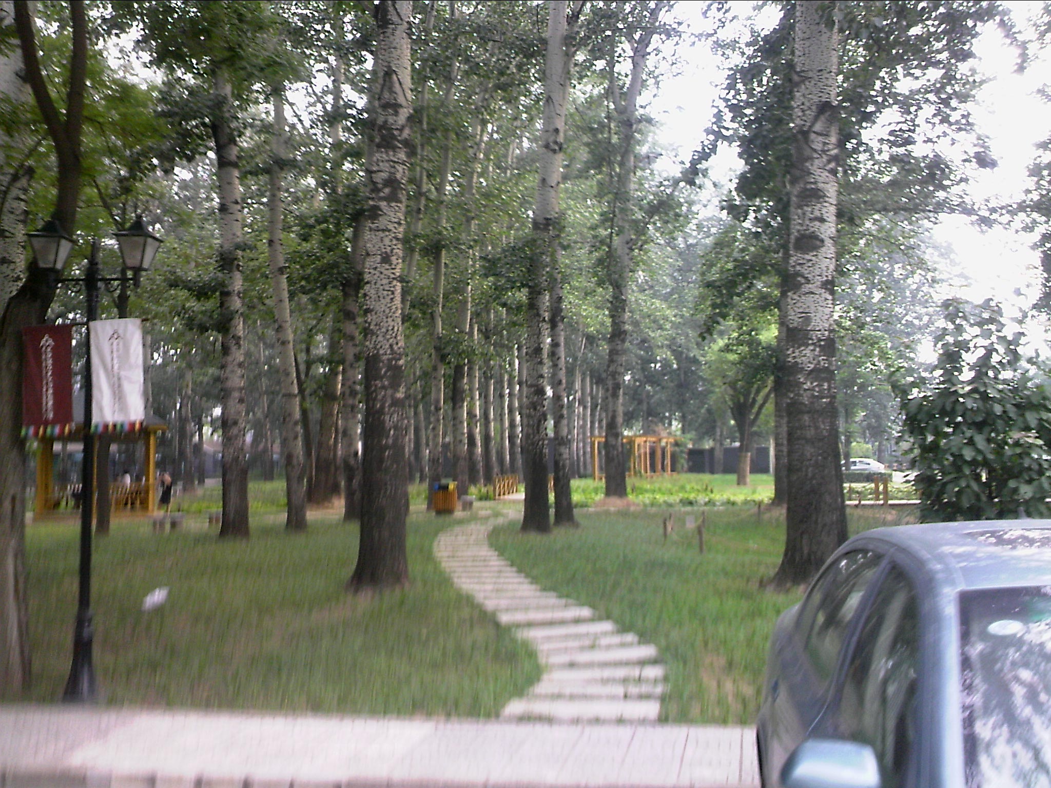 110716A050.jpg