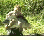 δ.gif