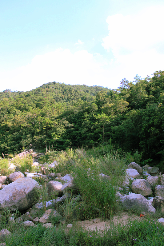 _MG_2905.jpg
