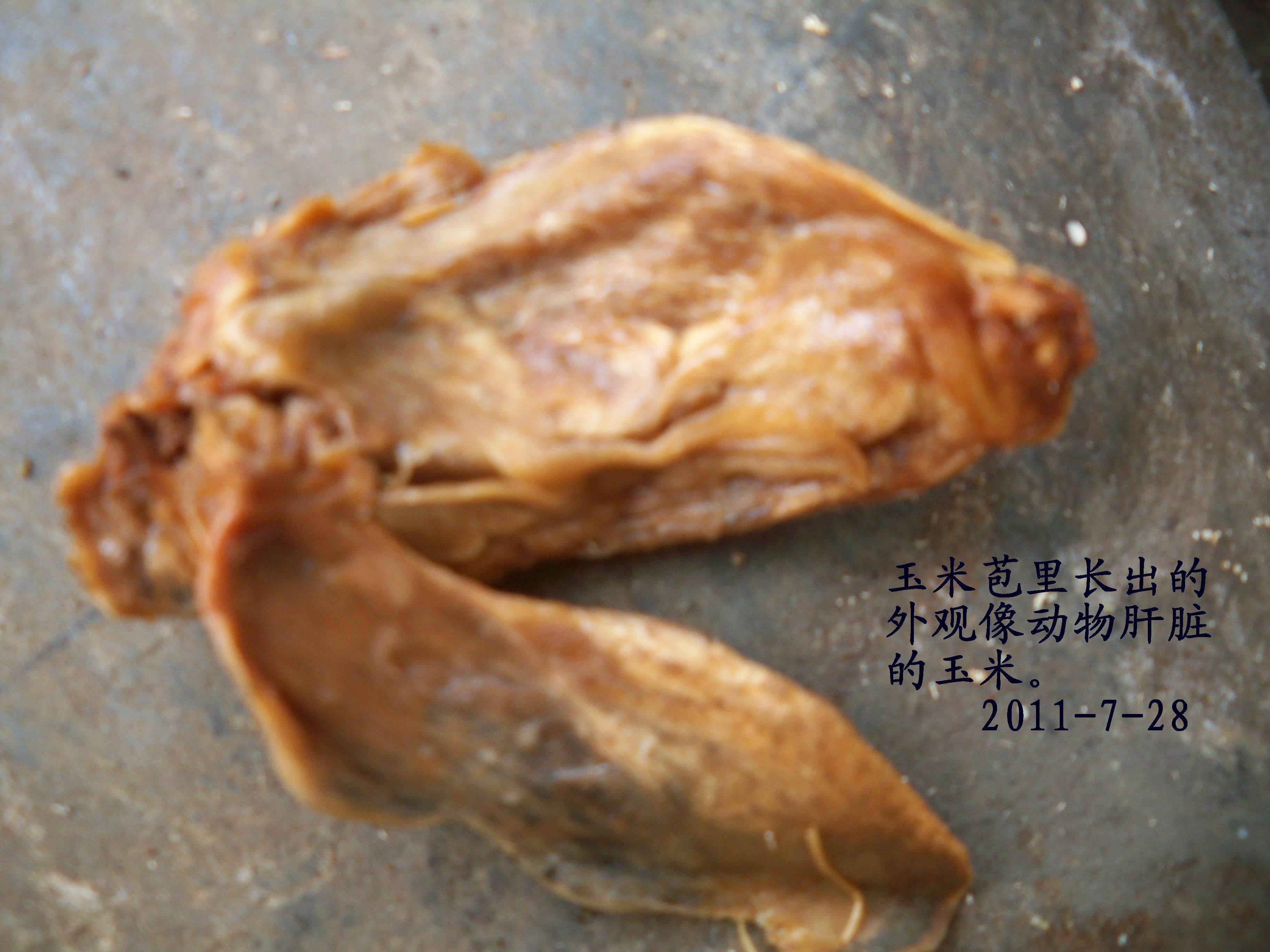 100_4243.JPG