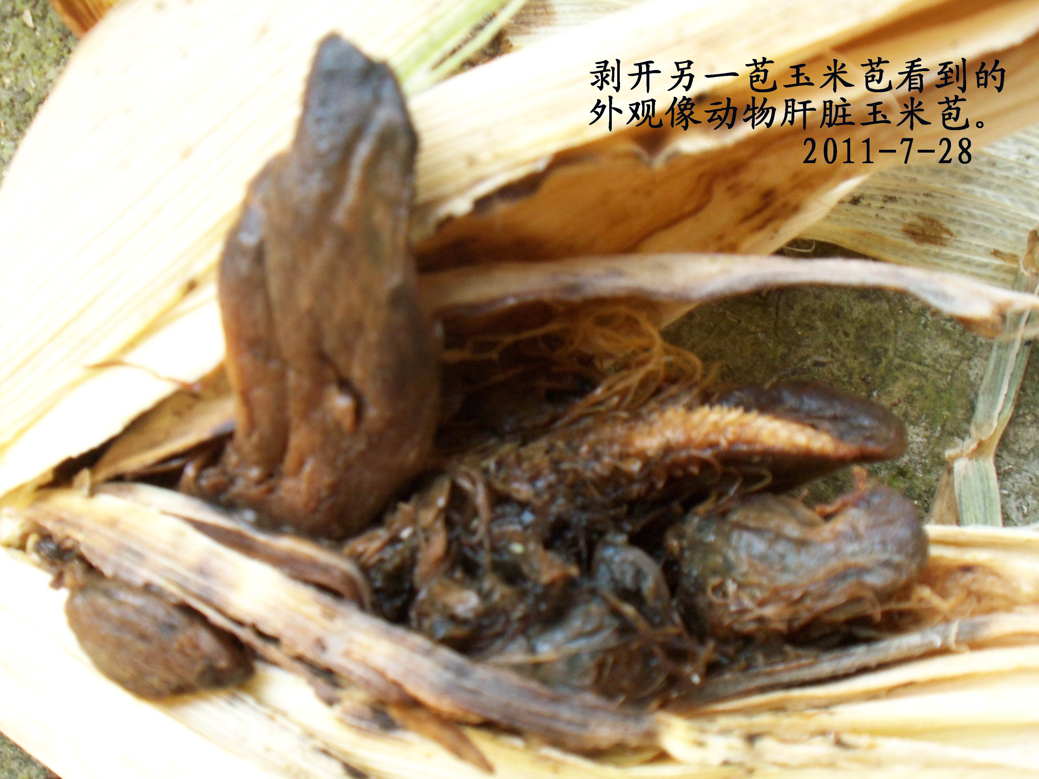 100_4253.JPG