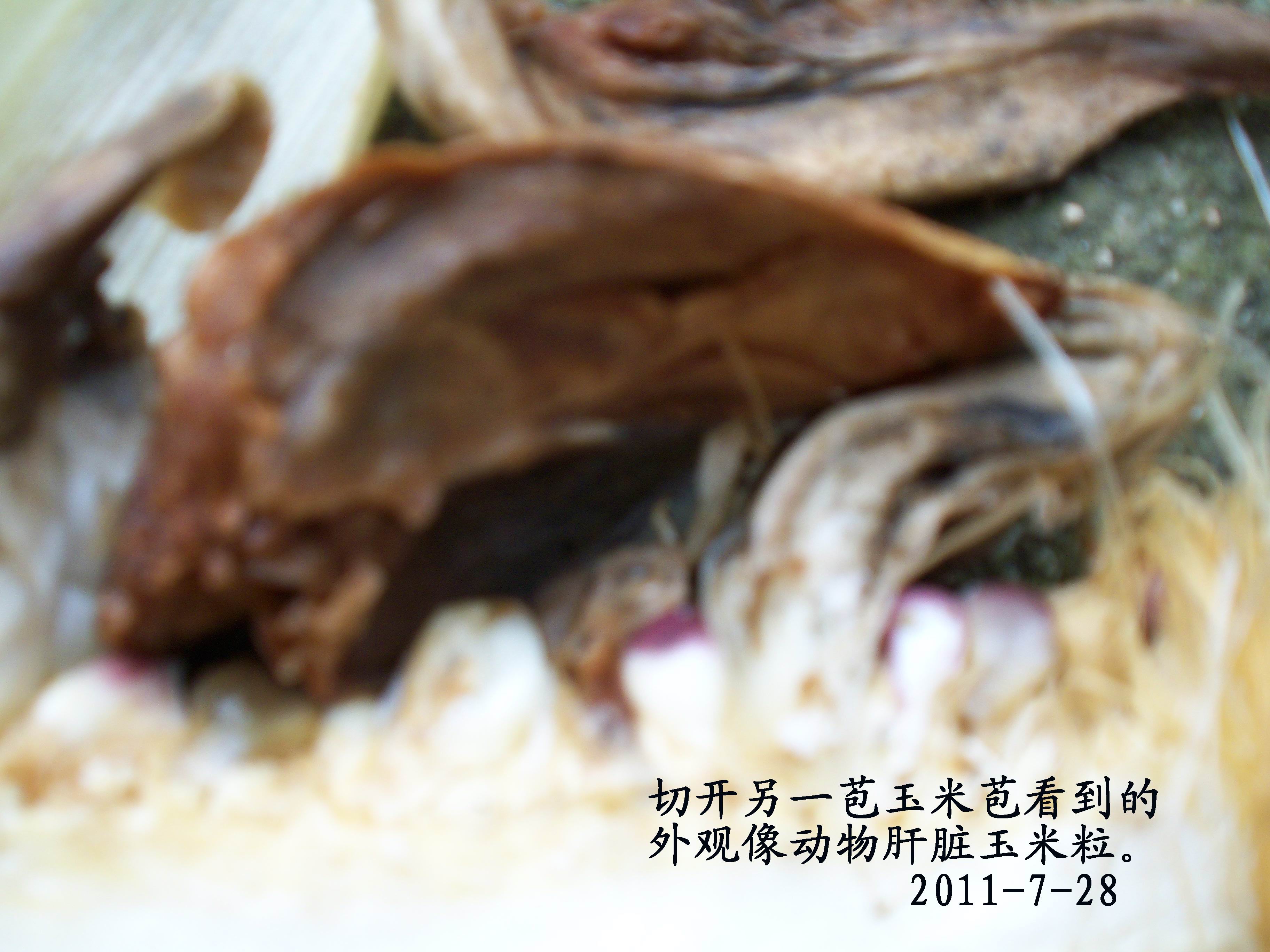 100_4255.JPG