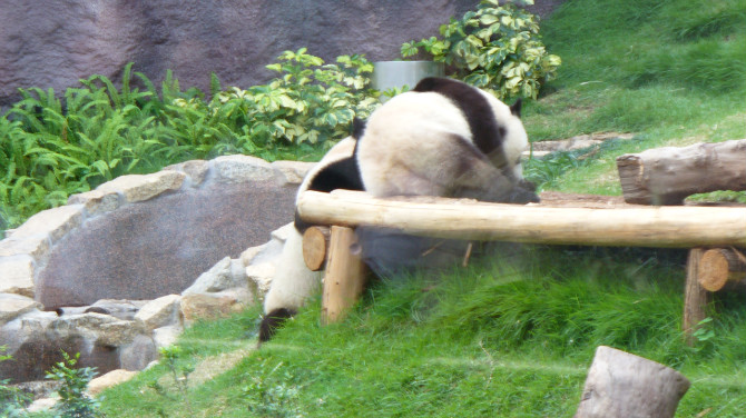 http_imgloadCA8A9HCA.jpg
