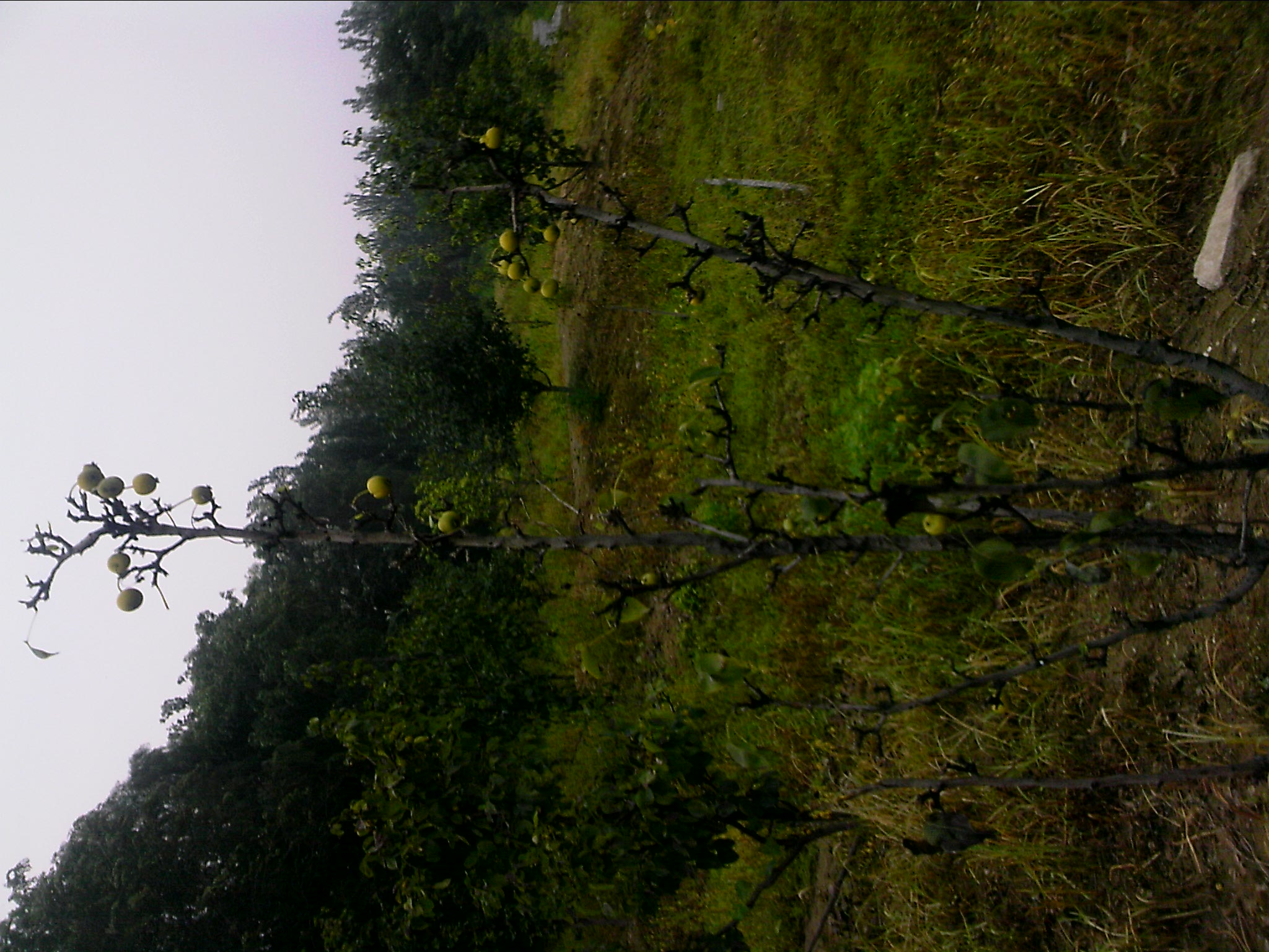 110801A046.jpg