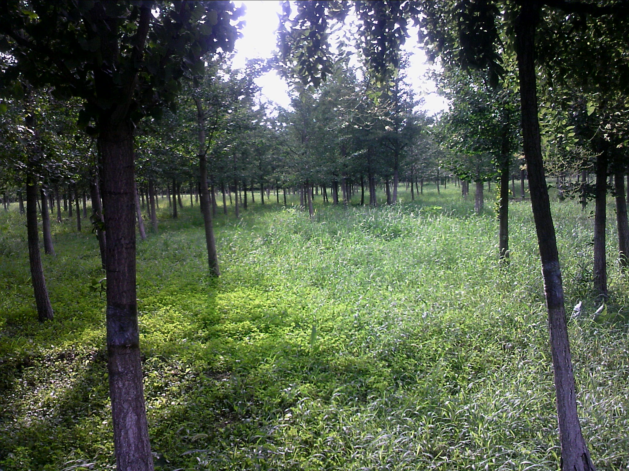 110802A005.jpg