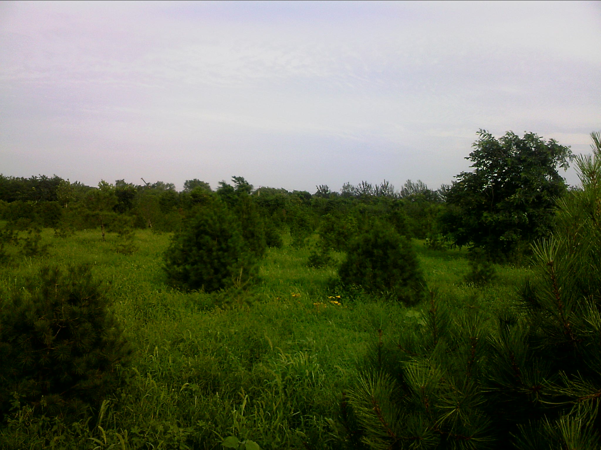 110802A011.jpg
