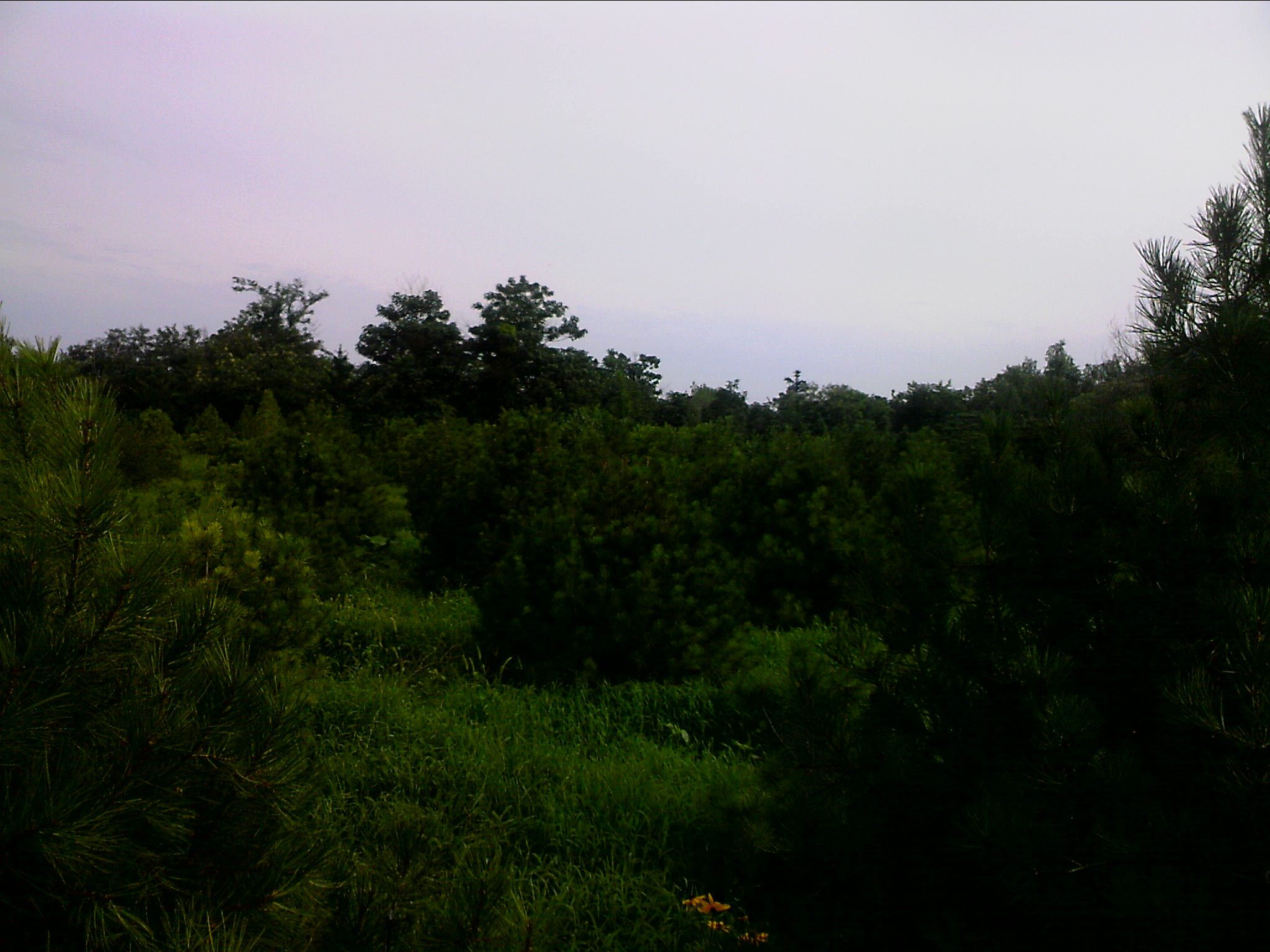 110802A013.jpg