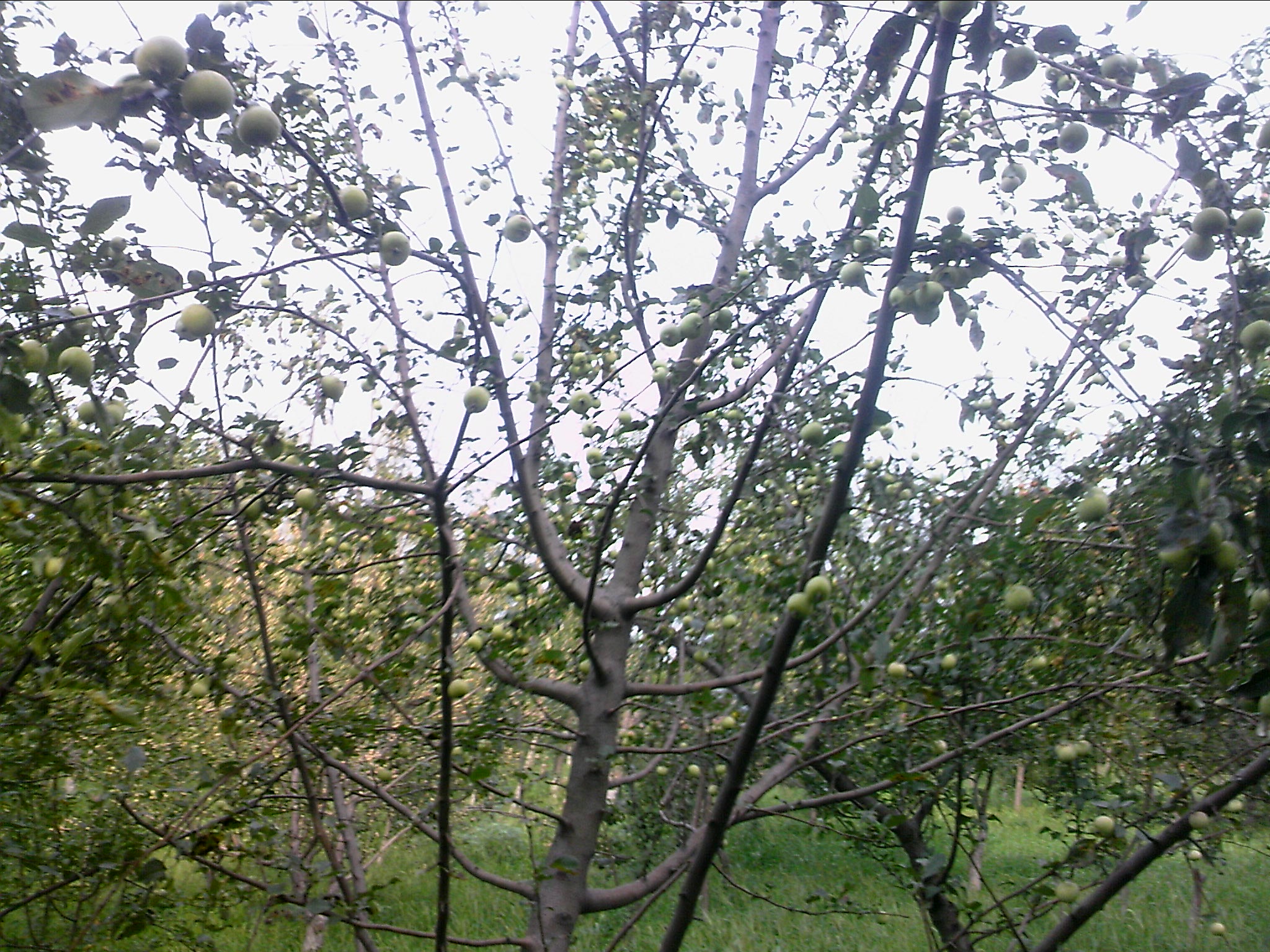 110802A025.jpg