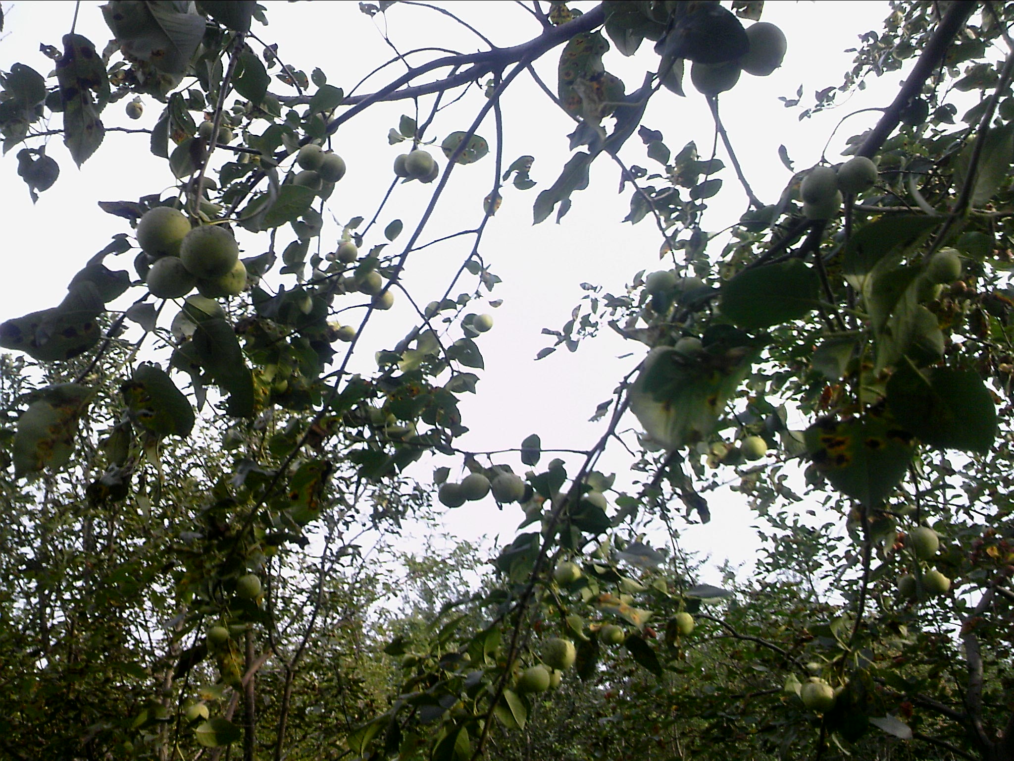 110802A026.jpg