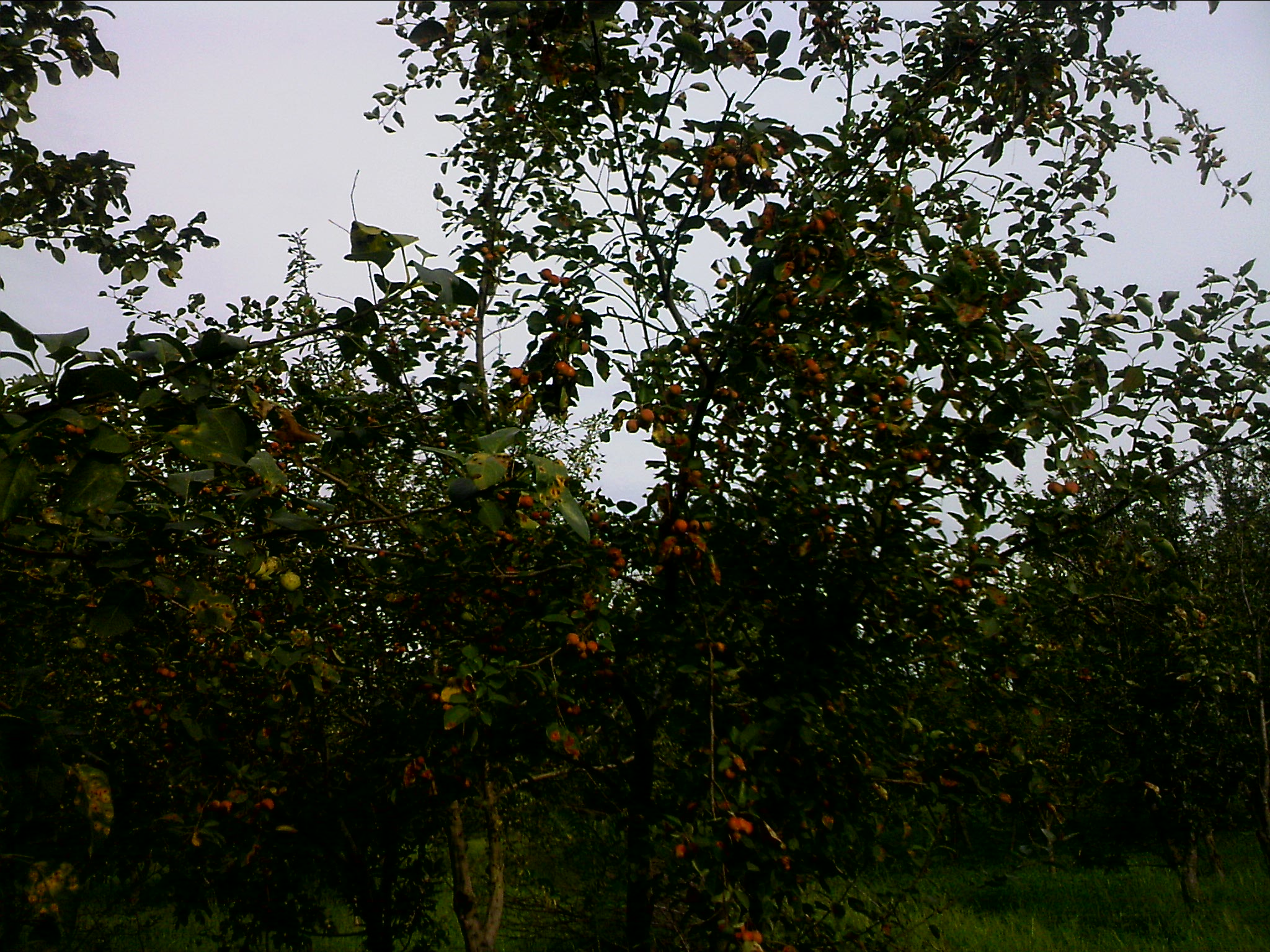 110802A027.jpg
