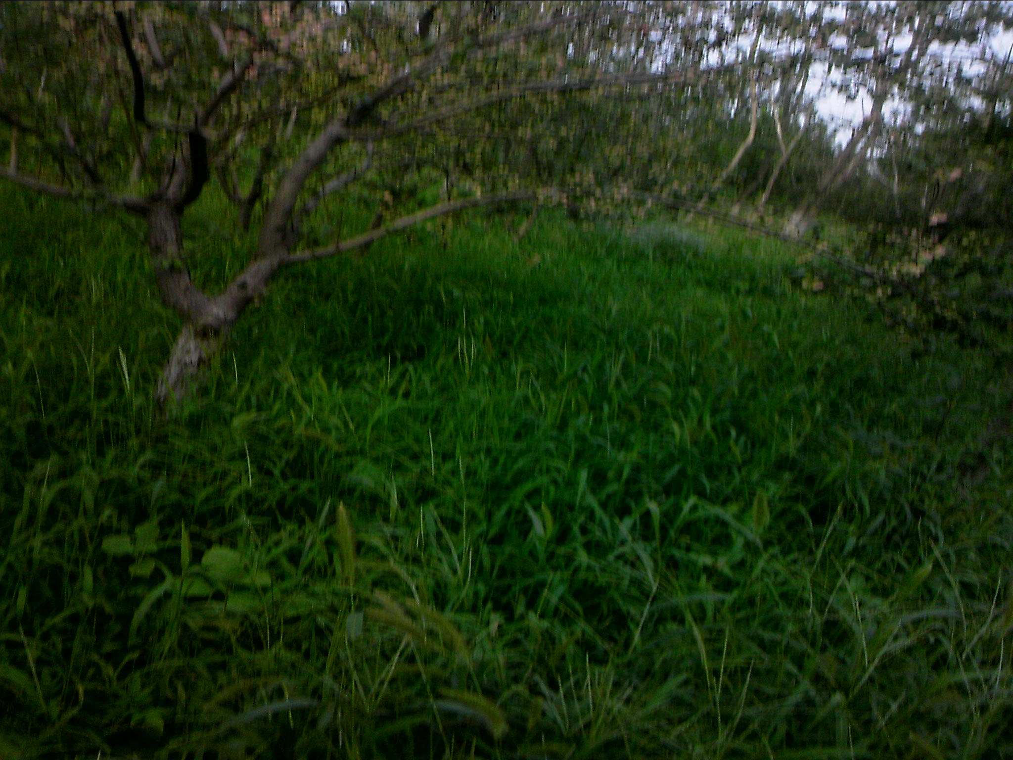 110802A028.jpg