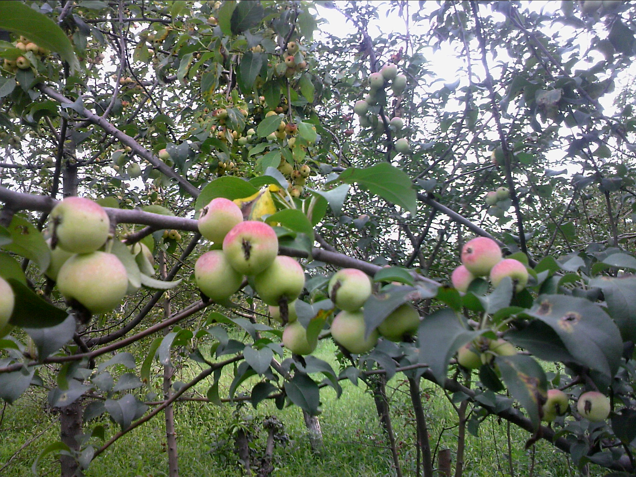 110802A029.jpg