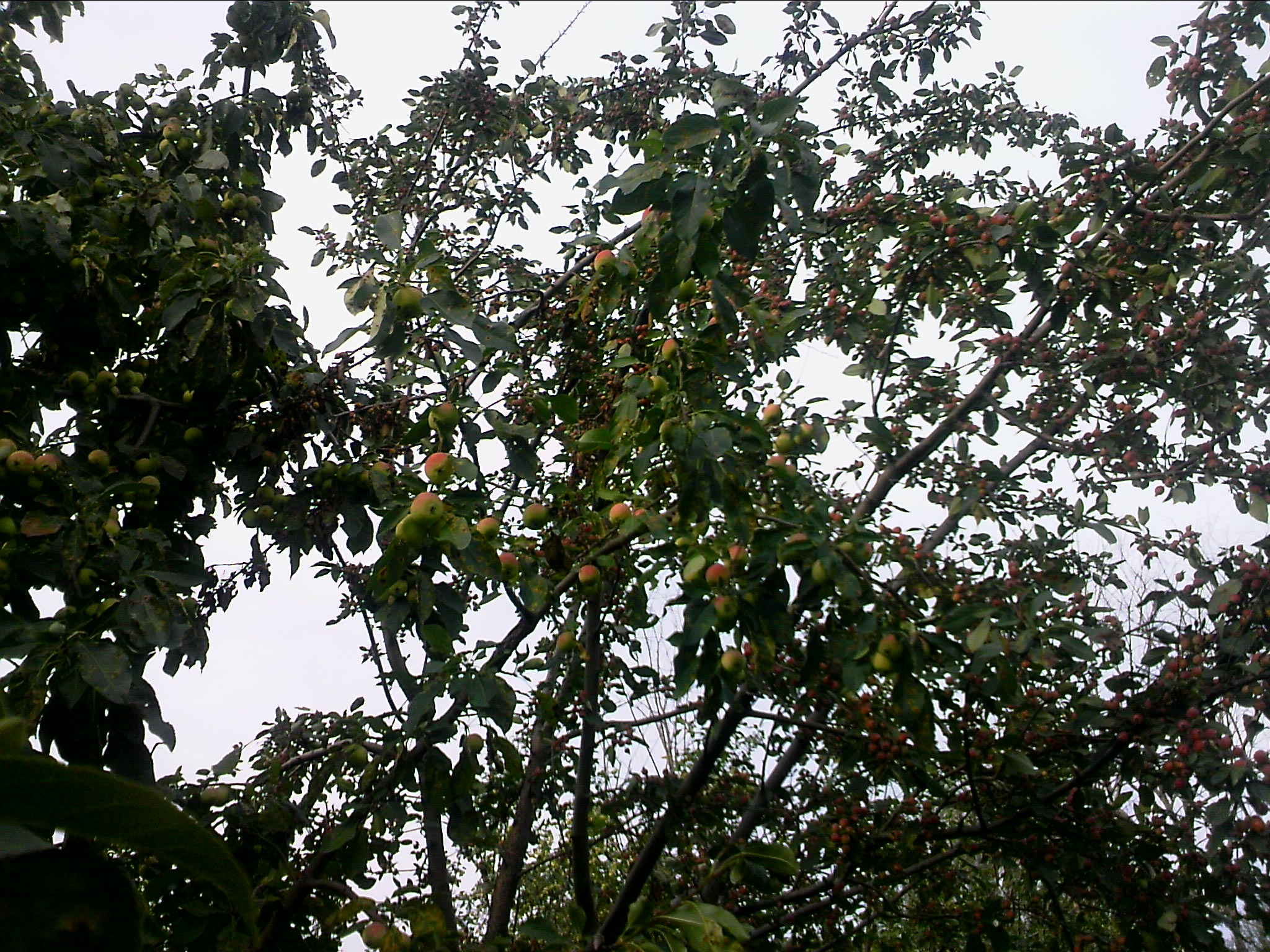 110802A033.jpg